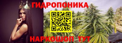 не бодяженный Тара