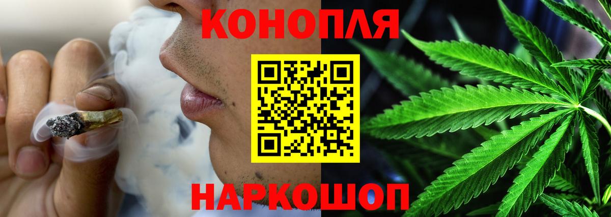 МАРИХУАНА план  Бошки Шишки план  Шишки марихуана OG Kush  Вход с VPN  Благодарный  Шишки марихуана гибрид 